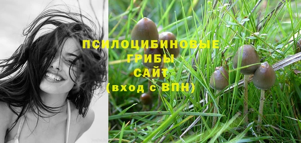 твердый Балабаново