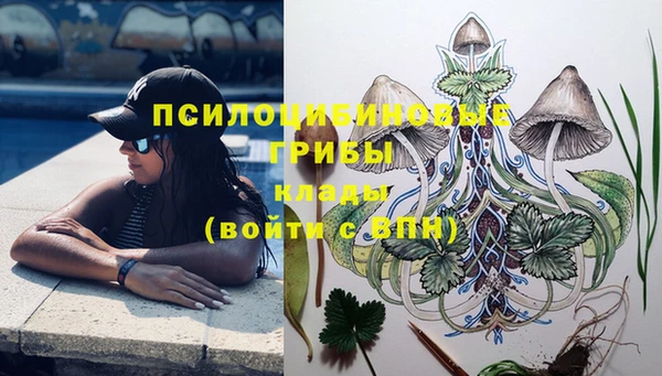 твердый Балабаново
