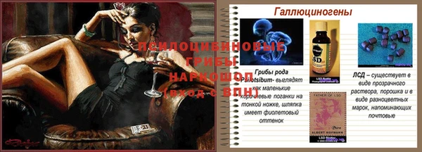 каннабис Баксан