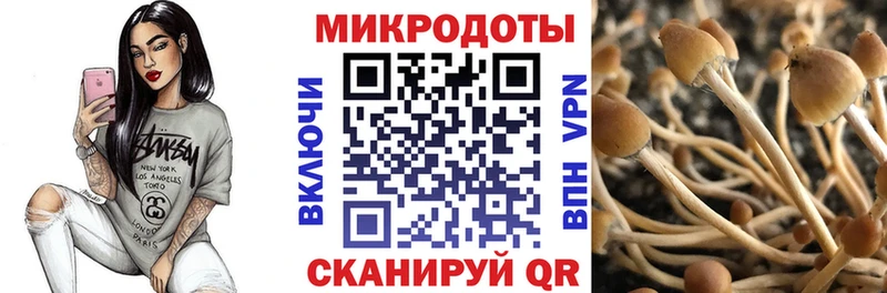 ОМГ ОМГ ссылка Заполярный Галлюциногенные грибы ЛСД